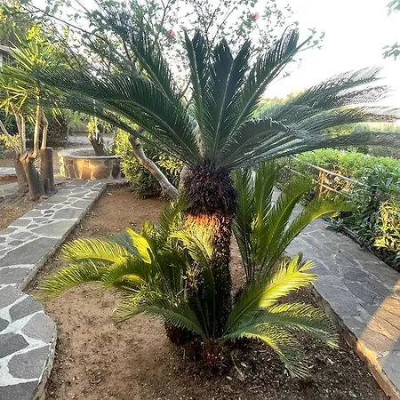 Gospodarstwo wiejskie Casa Sciave - Paradise In Sciacca